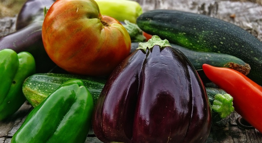 L'orto sinergico: cos'è e come funziona - Pierucci Agricoltura 1