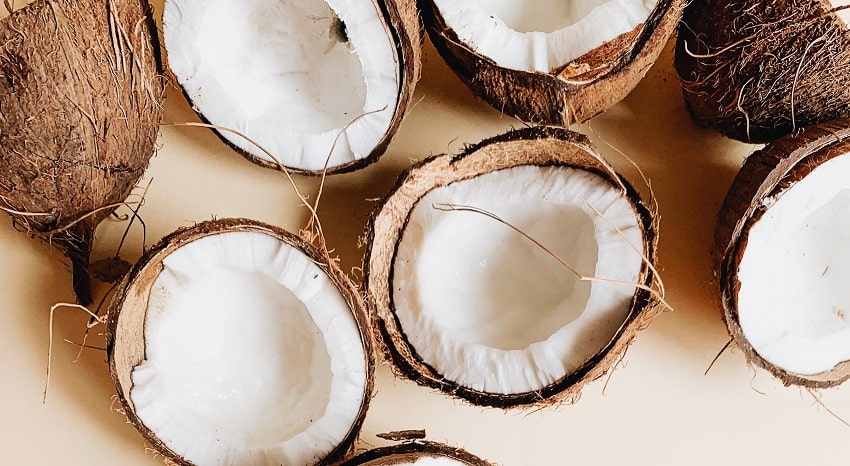 La fibra di cocco: cos'&egrave; e come si utilizza - Pierucci Agricoltura (3)