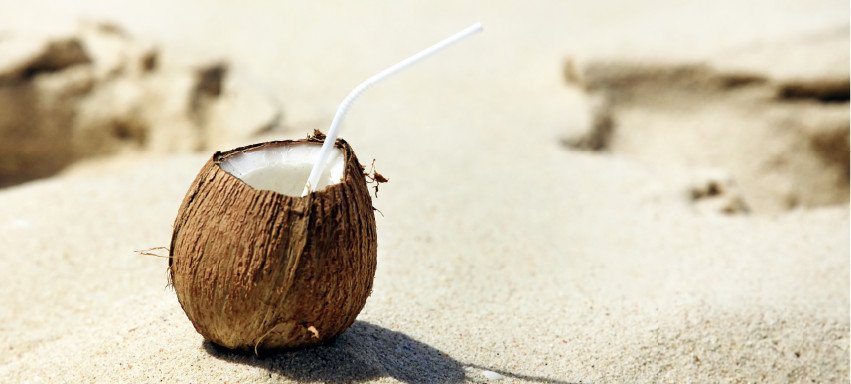 La fibra di cocco: cos'è e come si utilizza - Pierucci Agricoltura