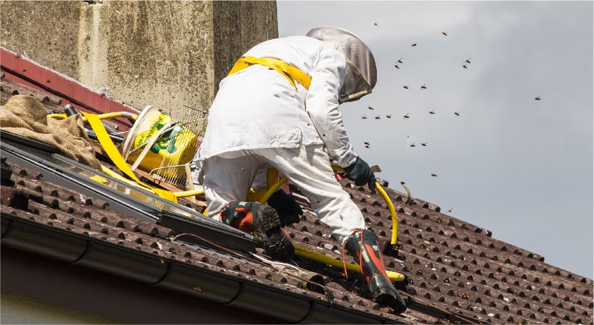 Professionista che esegue una disinfestazione dalle vespe - Come allontanare le vespe da casa tua