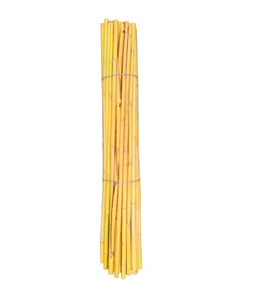Canne di bamboo thailandesi ∅ 20/22 mm 50 pezzi