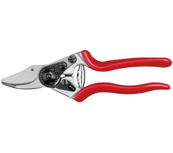 Forbici da vigna 6 - Felco