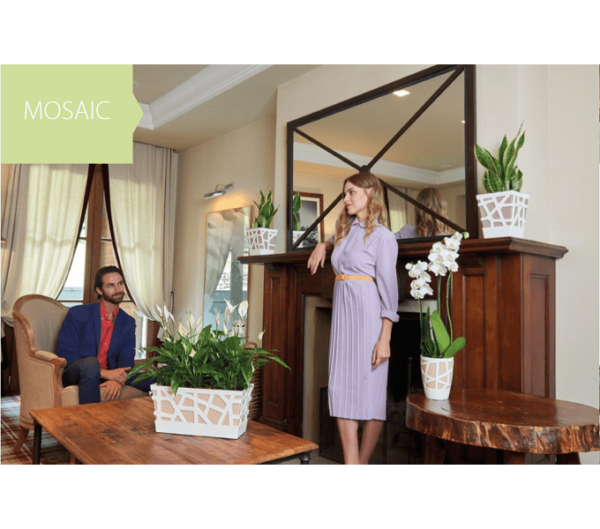 Vaso per orchidee Mosaic Curve High - Idel