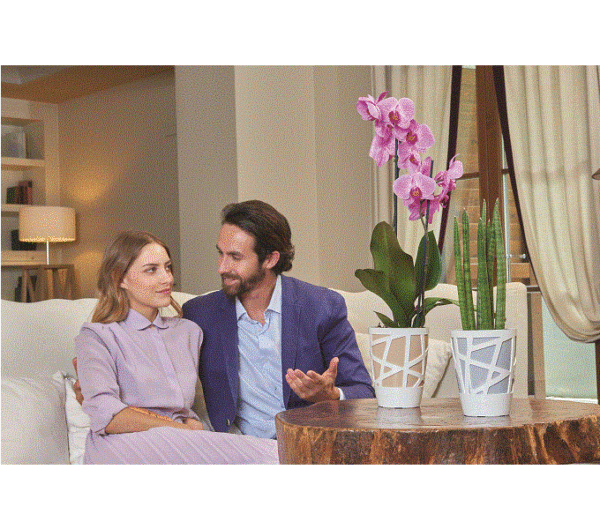 Vaso per orchidee Mosaic Curve High - Idel