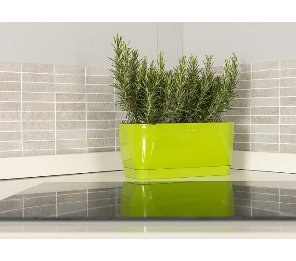 Fioriera da interno Living Flowerbox - Idel