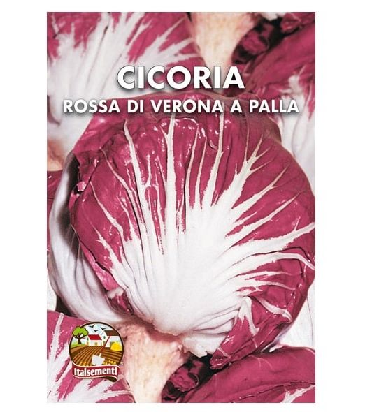 Bustina di semi di cicoria rossa di Verona a Palla Italsementi