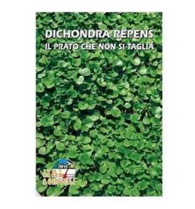 Semi di Dichondra Repens Italsementi