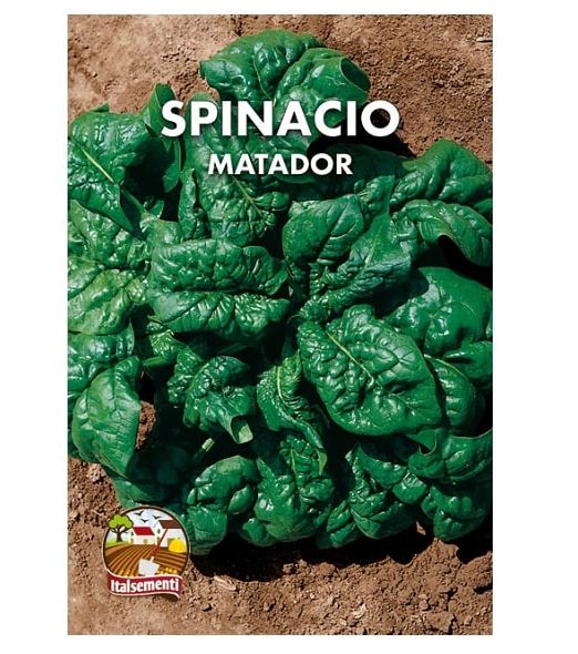 Bustina di semi di spinacio Matador Italsementi