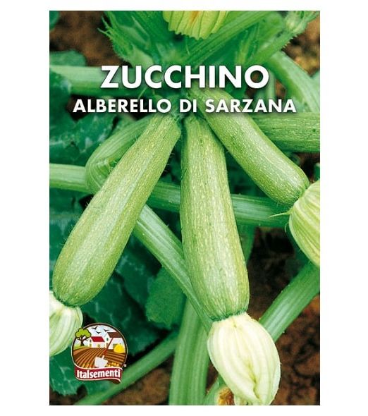 Bustina di semi di zucchino Alberello di Sarzana Italsementi