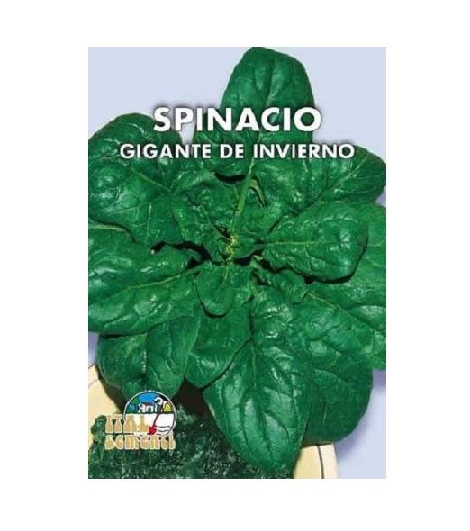 Semi di spinacio gigante de invierno Italsementi