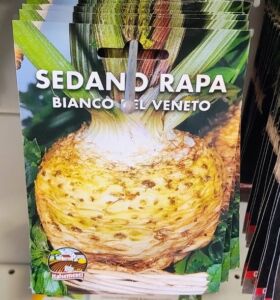 semi di sedano rapa bianco veneto