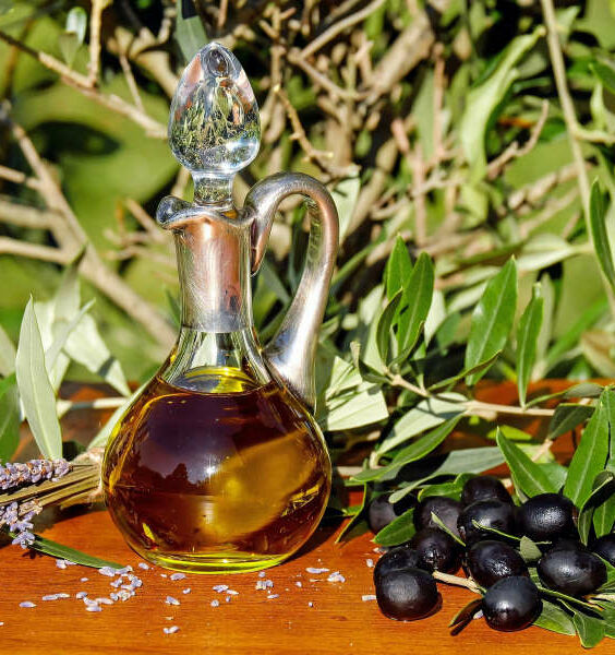 ZetaPhyl Olivo concime per olivo per uso fogliare