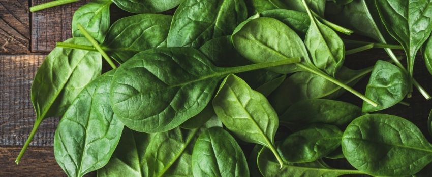 Seminare gli spinaci nell'orto: guida alla coltivazione - Pierucci Agricotlura