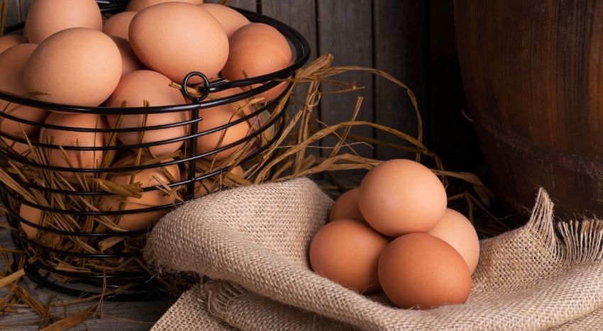 Paniere di uova - Pierucci Agricoltura