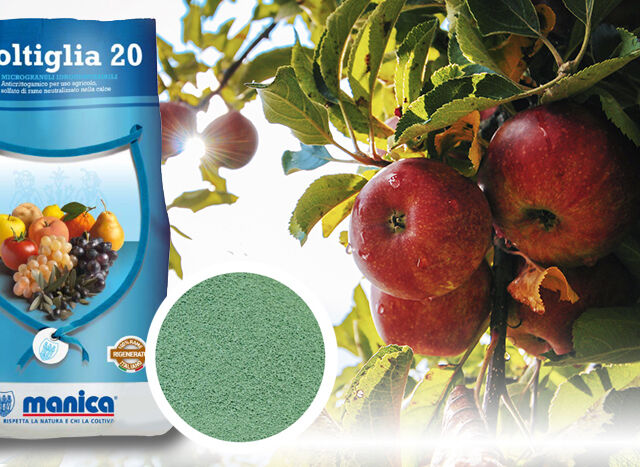 La poltiglia bordolese è efficace per il controllo del Cancro delle pomacee (mele) - Pierucci Agricoltura