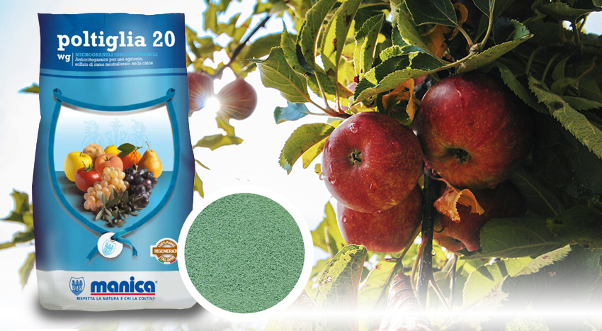 La poltiglia bordolese è efficace per il controllo del Cancro delle pomacee (mele) - Pierucci Agricoltura