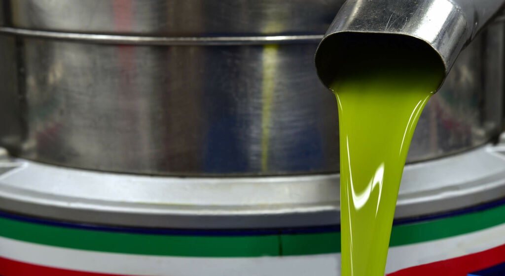 olio nuovo appena franto