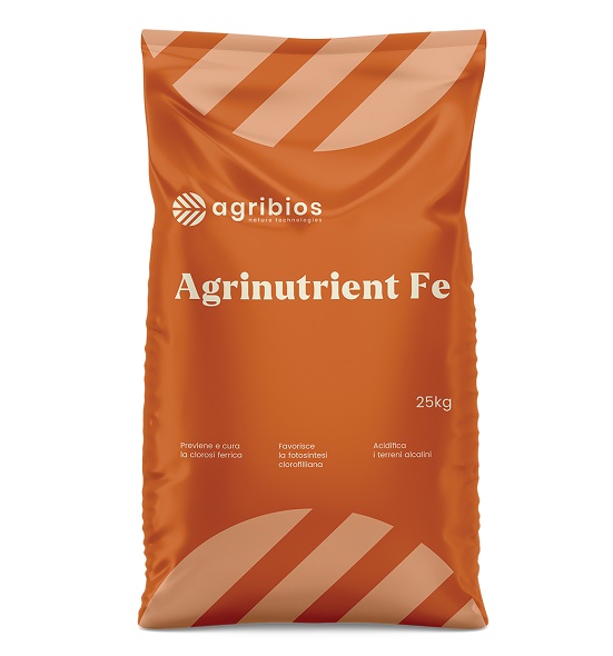 confezione di solfato di ferro Agrinutrient