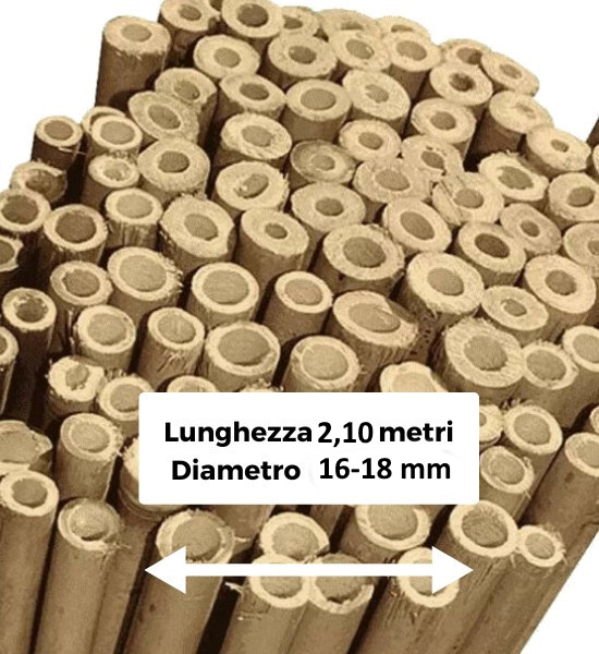 Canne di bamboo di misura 2,10 metri e diametro 16-18 mm