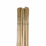 Canne di bamboo Pag