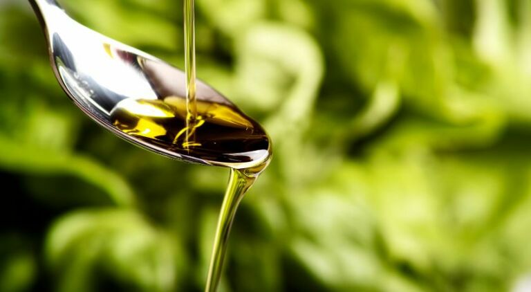 come conservare olio di oliva