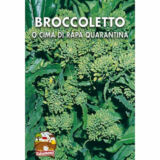 semi-di-broccoletto-o-cima-di-rapa-quarantina-italsementi