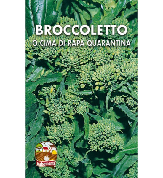 semi-di-broccoletto-o-cima-di-rapa-quarantina-italsementi