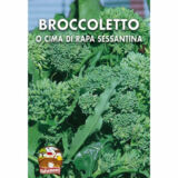 semi di broccoletto-o-cima-di-rapa-sessantina-italsementi