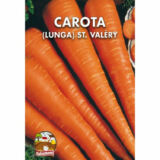 semi di carota lunga Saint Valery - Italsementi
