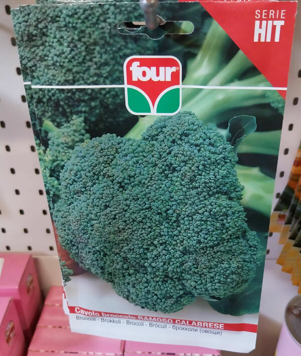 semi di cavolo ramoso