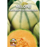 Semi di melone Cantalupo di Charentais - Italsementi