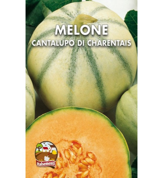 Semi di melone Cantalupo di Charentais - Italsementi