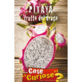 Pitaya frutto del drago - Italsementi