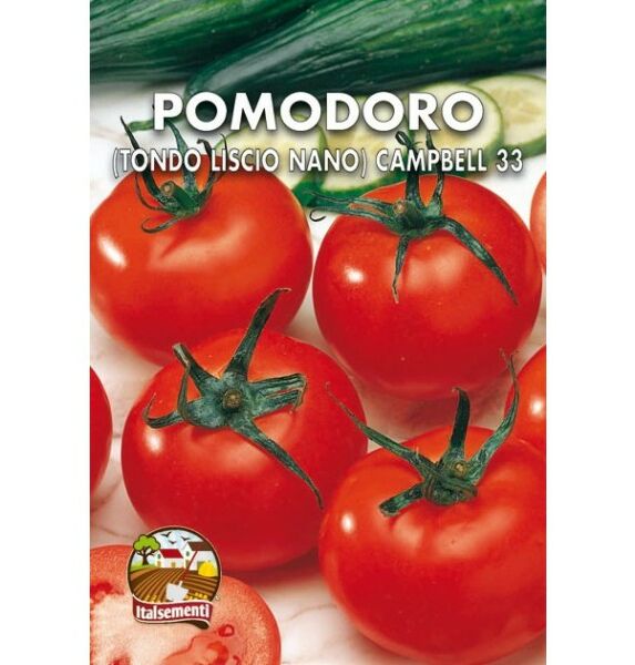 semi di pomodoro-tondo-liscio-nano