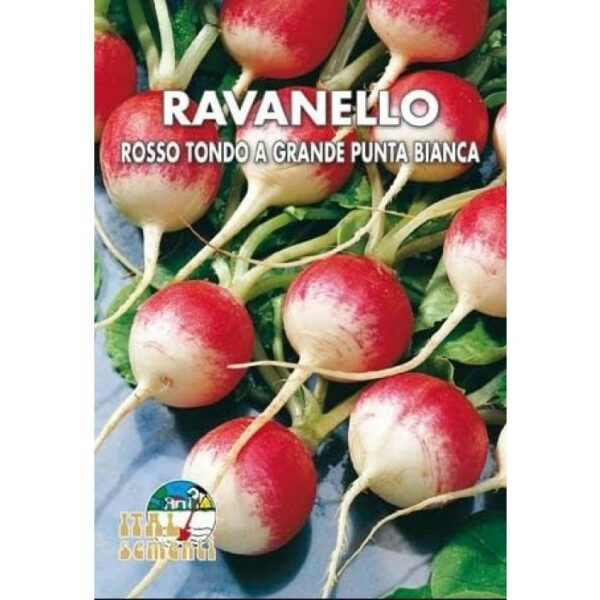 Semi di ravanello rosso tondo a grande punta bianca - Italsementi