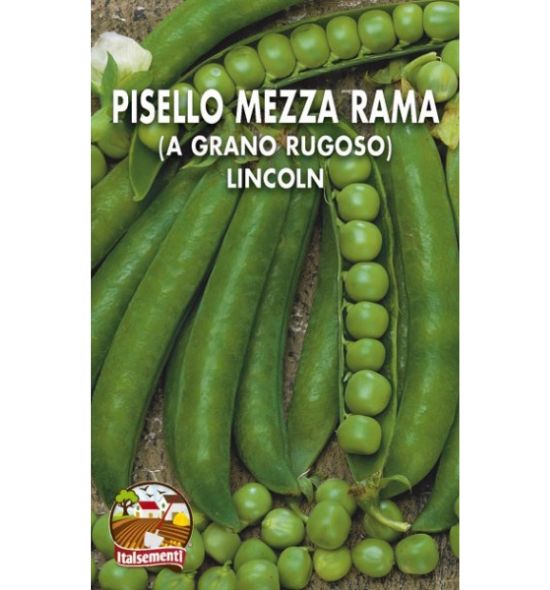 Semi di pisello mezza rama a grano rugoso lincoln Italsementi 200 gr