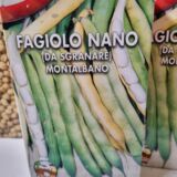 fagiolo nano del montalbano