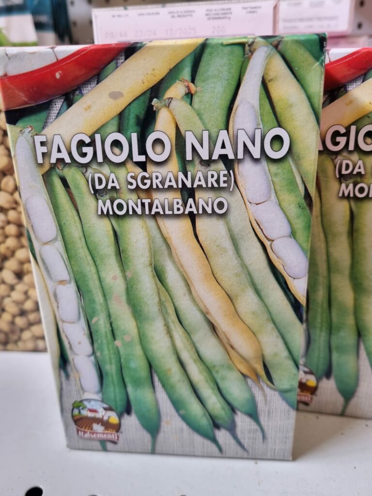 fagiolo nano del montalbano