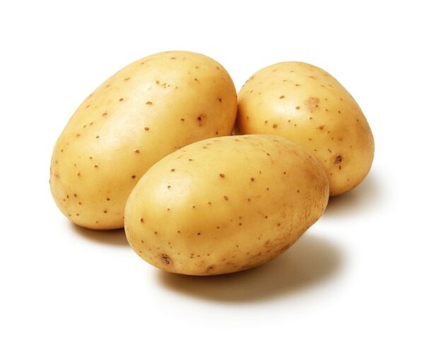 patate kennebec
