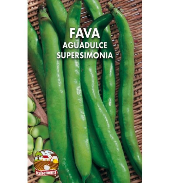 Semi di fava aguadulce supersimonia - Italsementi