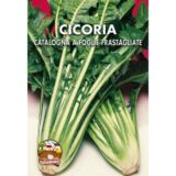 semi di cicoria-catalogna-a-foglie-frastagliate