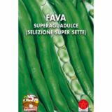 Semi di fava superaguadulce Super Sette Italsementi