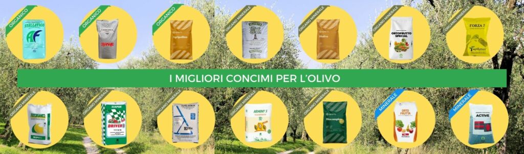 Banner concimi per l'olivo