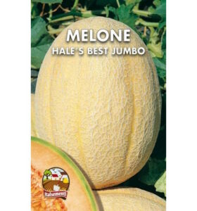 semi di melone-hale-s-best-jumbo italsementi