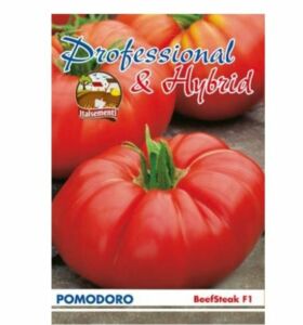 semi di pomodoro bistecca Hybrid