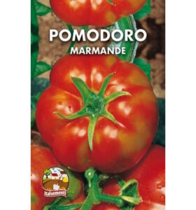 semi di pomodoro costoluto marmande