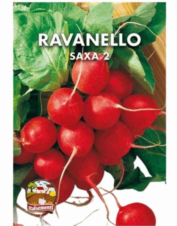 semi di ravanellosemi di ravanello Saxa 2 - Italsementi Saxa 2 - Italsementi