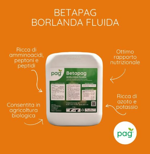Info su Borlanda fluida Betapag Pag