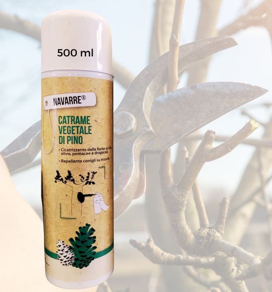 Catrame vegetale di pino cicatrizzante per ferite da potatura di olivo, drupacee e pomacee – spray 100% naturale