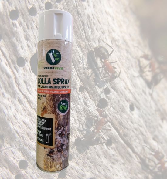 colla spray cattura mosche e insetti - Pierucci Agricoltura